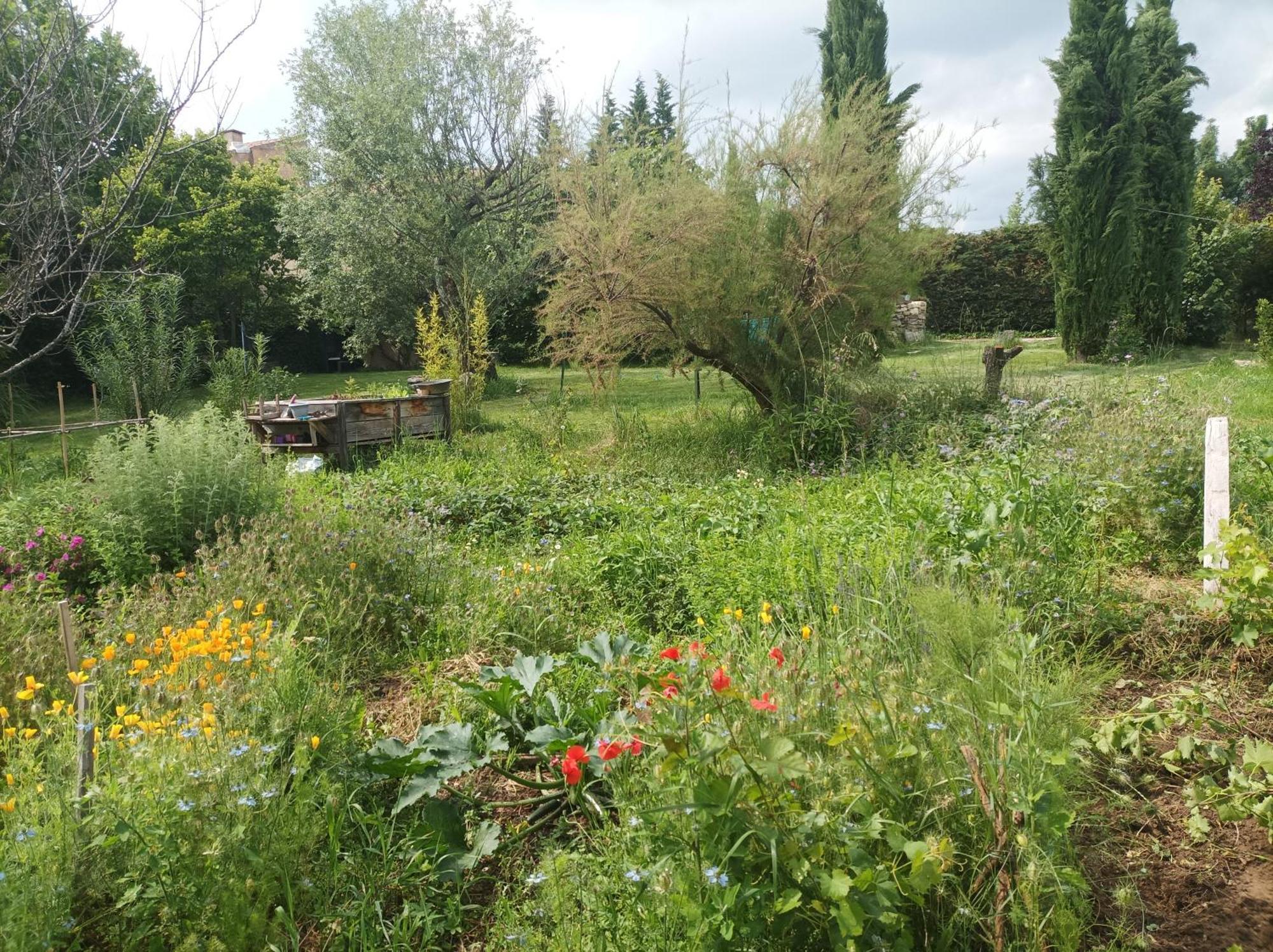 Campagne De Pre Grand Bed and Breakfast Saint-Étienne-les-Orgues Eksteriør billede